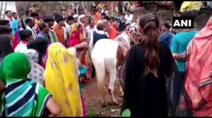 Madhya Pradesh: Dalit groom allegedly stopped by Yadavs from riding horse in Satai Chhatarpur