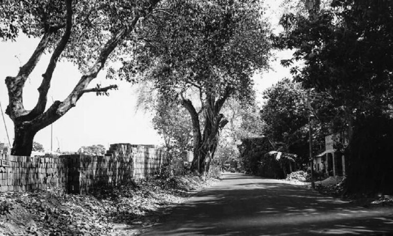 Bijnor Two Dalit women were allegedly assaulted by two upper caste men in Uttar Pradesh